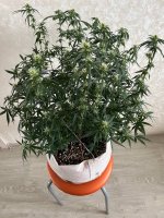 photo1642929500.jpeg