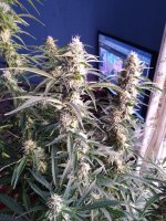 2022-01-25 10-06-06.JPG