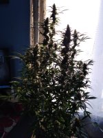 2022-01-25 11-11-13.JPG