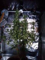 2022-01-25 13-53-36.JPG