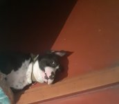 20220127_183226.jpg