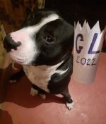 20220128_091345.jpg