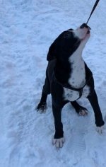 20220128_103255.jpg