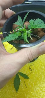 photo_2022-01-28_22-55-21 (2).jpg