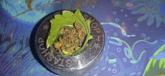 photo_2022-01-28_22-55-21 (4).jpg