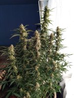 2022-01-31 11-49-14.JPG