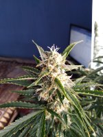 2022-01-31 11-49-31.JPG