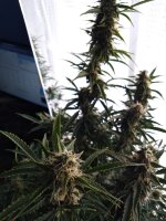 2022-01-31 11-49-48.JPG