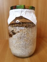 IMG_20220131_164940 — копия.jpg