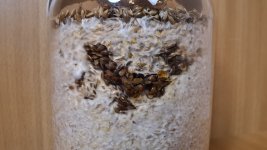 IMG_20220131_165015 — копия.jpg