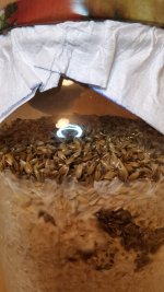 IMG_20220131_165035 — копия.jpg