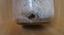 IMG_20220131_165117 — копия.jpg