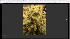 Снимок экрана 2022-02-03 в 16.34.07.png