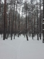 IMG_20220205_115937.jpg