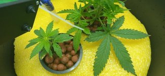 photo_2022-02-07_20-26-00 (2).jpg