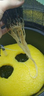 photo_2022-02-07_20-26-00 (3).jpg