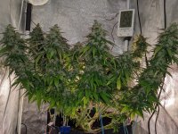 45451212122 (11).jpg