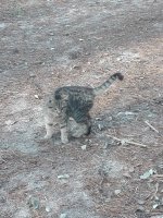 IMG_20211113_115841.jpg