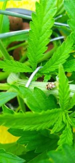 photo_2022-02-11_22-53-27 (2).jpg