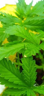 photo_2022-02-11_23-20-00 (2).jpg