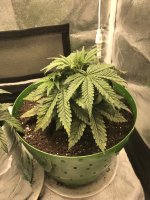 IMG_1513.JPG