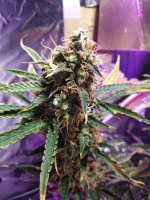 2022-02-14 20-51-13.JPG