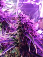 2022-02-14 20-51-52.JPG