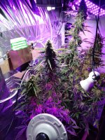 2022-02-14 20-52-11.JPG