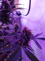 2022-02-14 21-02-03.JPG