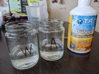 45645645456 (12).jpg