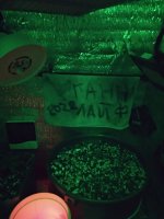 IMG_20220217_205706.jpg