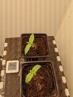 456456554645 (5).jpg