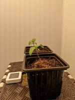 456456554645 (4).jpg