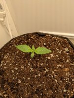 456456554645 (1).jpg