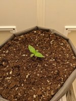 456456554645 (2).jpg