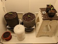 456456554645 (3).jpg