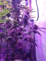 2022-02-14 21-01-52.JPG