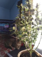 2022-02-18 11-38-32.JPG