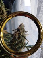 2022-02-18 13-59-45.JPG