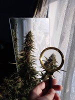 2022-02-18 14-00-53.JPG