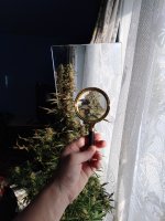 2022-02-18 14-01-10.JPG