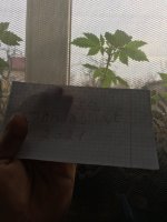 FA03551E-55EC-4B5C-8355-A8F008A311DA.thumb.jpeg.3a757e17c256162f832d3d18c4edff78.jpeg