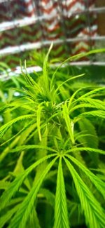 photo_2022-03-11_22-43-16 (2).jpg