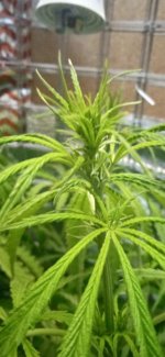 photo_2022-03-11_22-43-16 (3).jpg