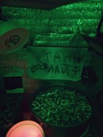 IMG_20220217_205706.thumb.jpg.32684700d0b7f69923299685a6139f3f.jpg