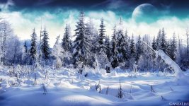 krasota-zimnego-lesa-v-moroz.thumb.jpg.da0199406f352eb6eb5a6d13d4764614.jpg