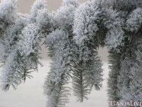 velikolepie_zimney_prirodi_16.jpg.c51674cf1d2a3880ae8e1cf3476334c7.jpg