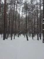IMG_20220205_115937.thumb.jpg.9fa16d8be36c7cb0d56f4762bb01955a.jpg