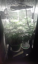 imgonline-com-ua-AutoEnrich-HKNgXuAwW1V.jpg