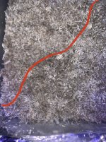 80143C0E-8510-49D8-9F65-474E3B4B11E4.jpeg